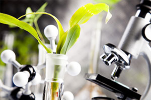  植物保护专业：昆虫分类学(螳䗛目)《螳䗛目的发现与建立》课程思政案例