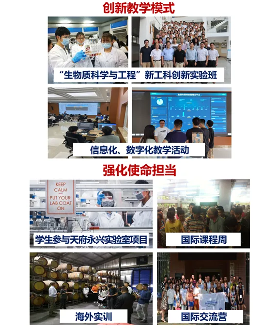 ed_1748307349839062.png